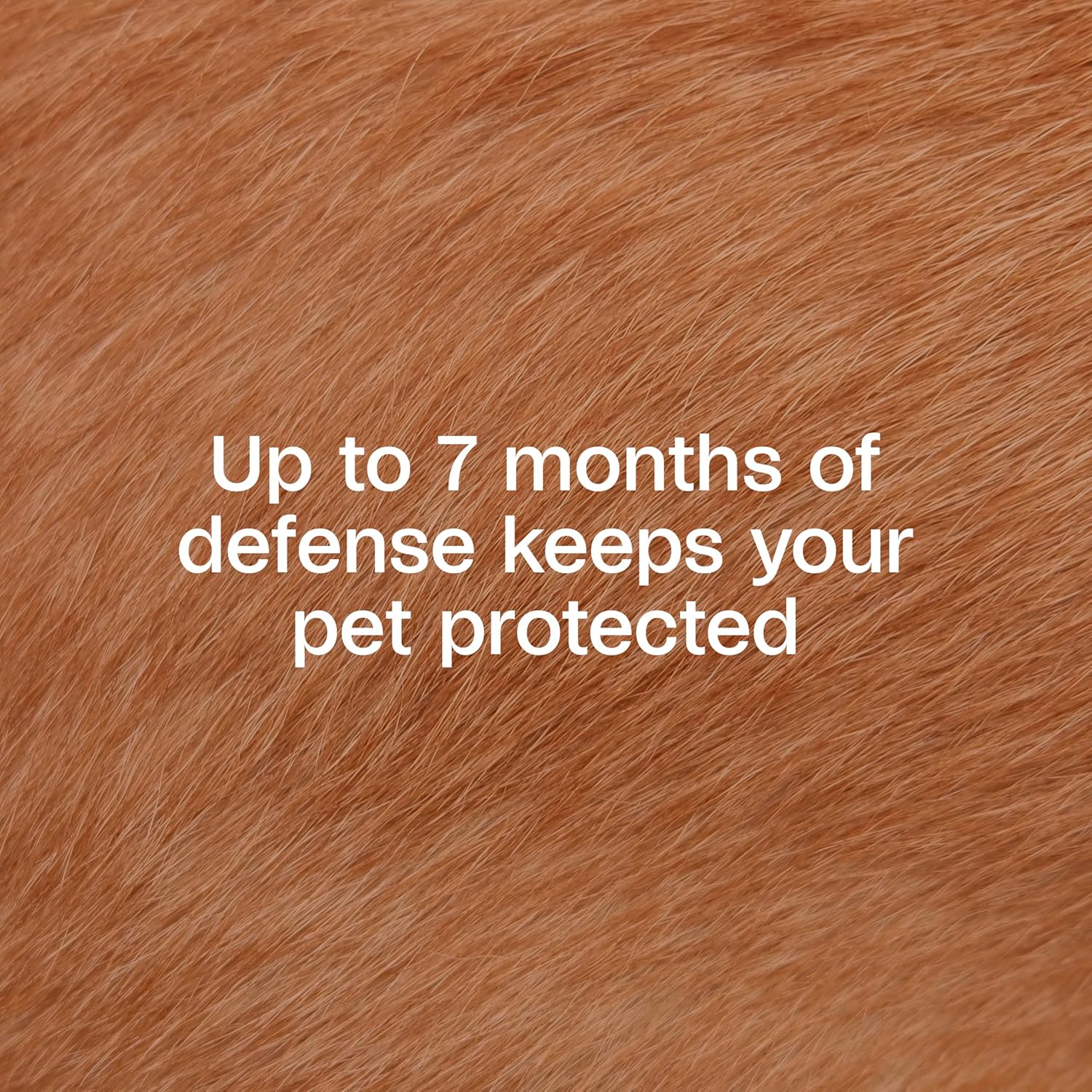 Adams flea and tick collar 7 month prevention label