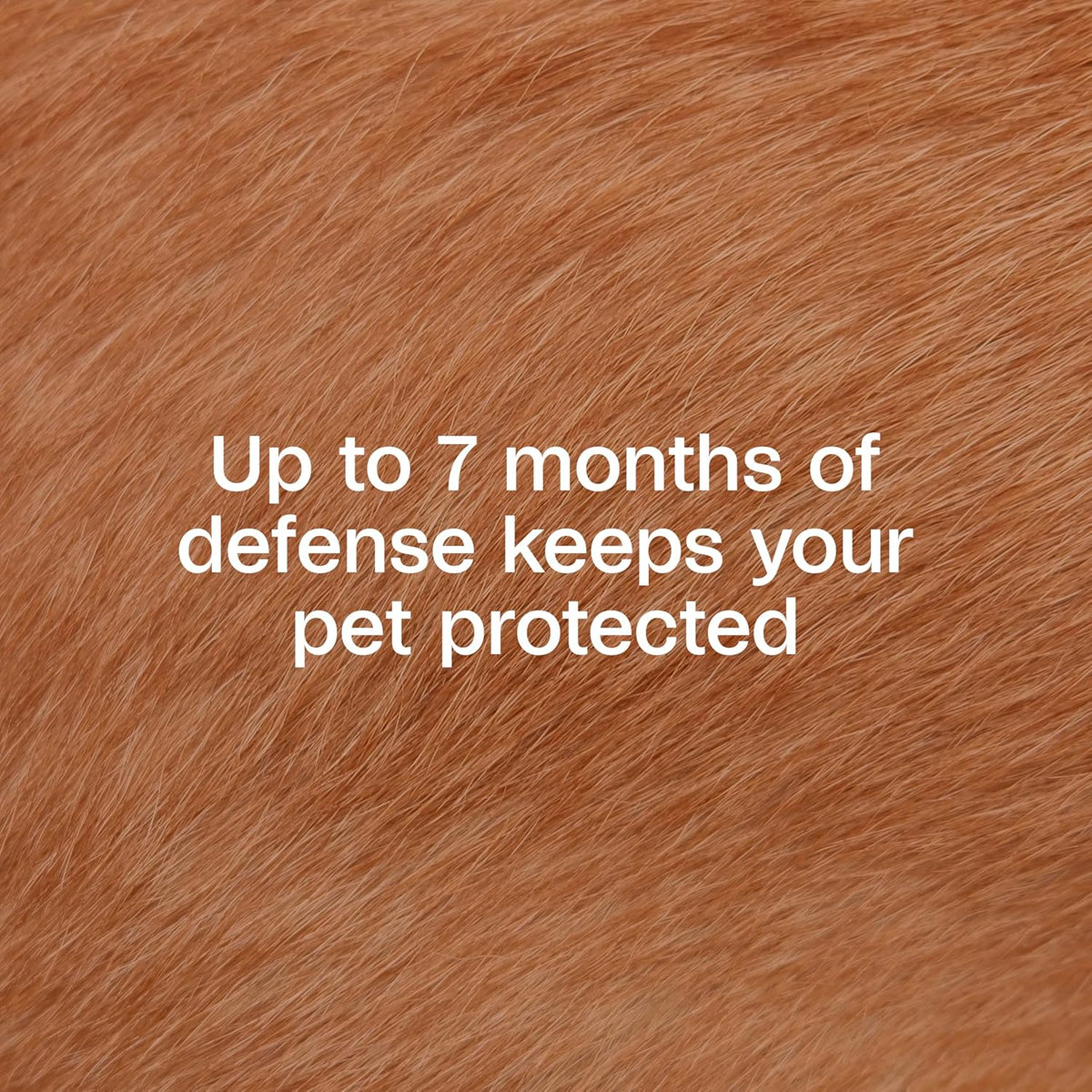 Adams flea and tick collar 7 month prevention label