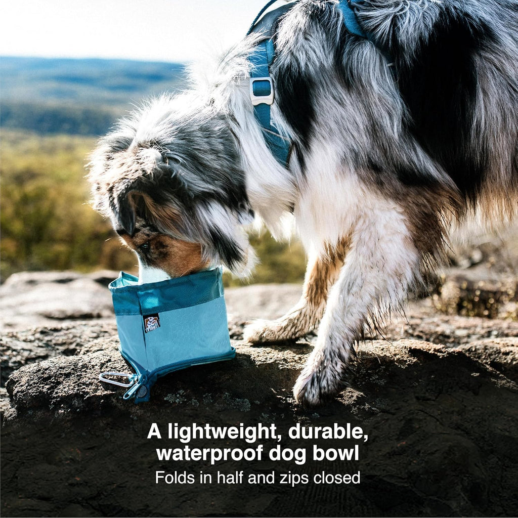 Kurgo portable pet container attached with carabiner to backpack