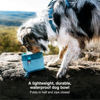 Kurgo portable pet container attached with carabiner to backpack