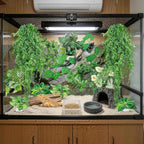 Example of arranged reptile terrarium decor with suction cups