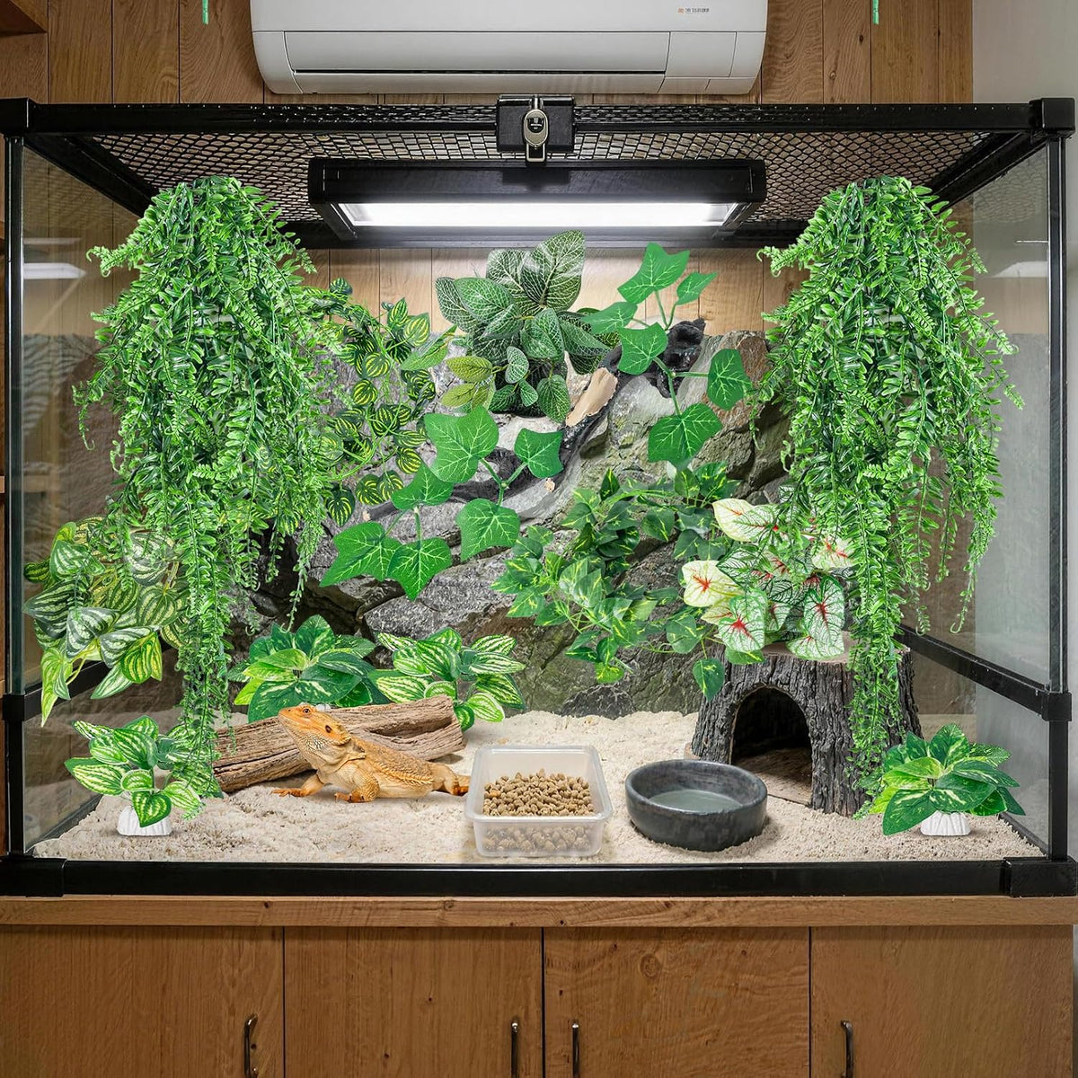 Example of arranged reptile terrarium decor with suction cups