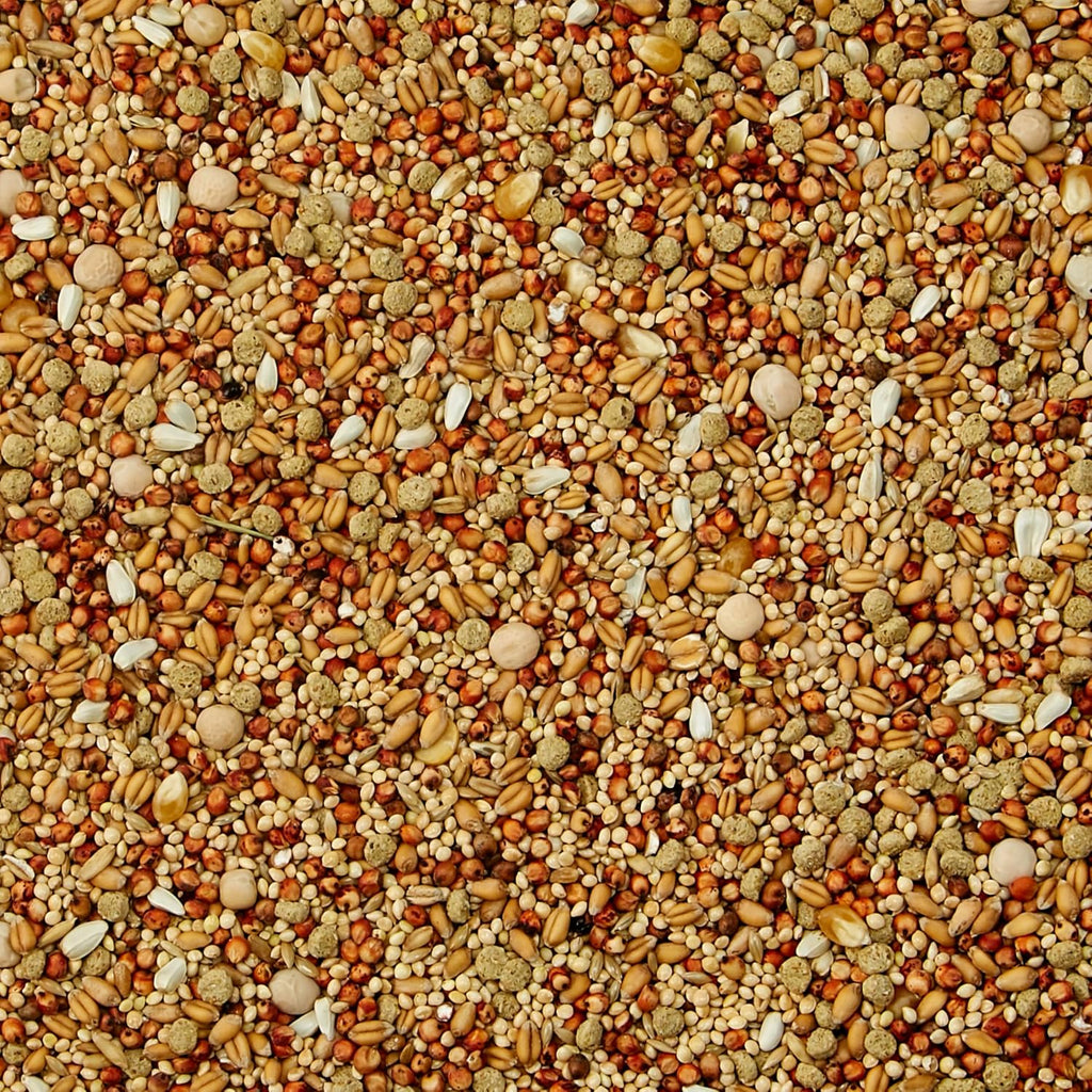 Kaytee Supreme Dove Food natural seed texture