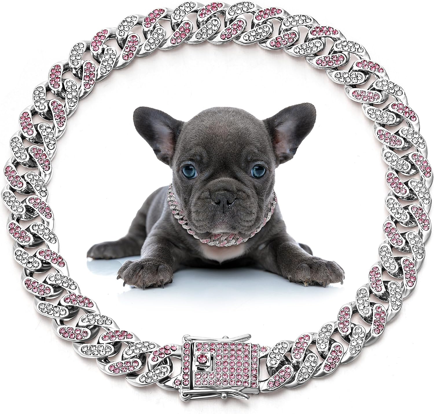 Packaging detail of Leifide authentic imported dog jewelry
