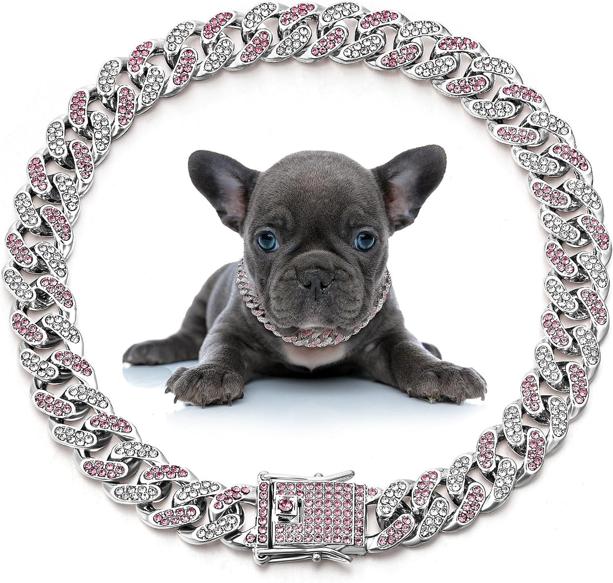 Packaging detail of Leifide authentic imported dog jewelry