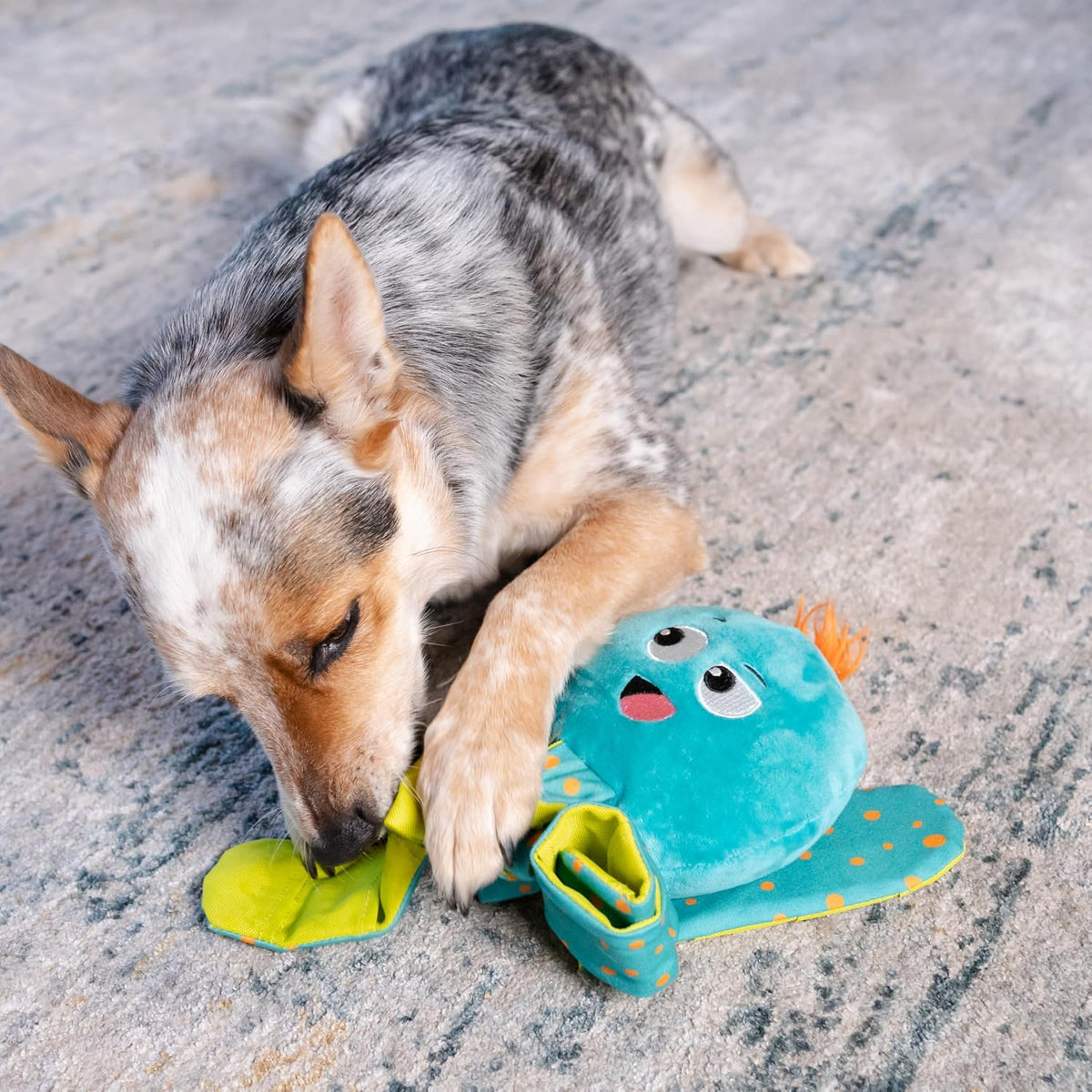 Outward Hound Silly Legz octopus toy soft texture detail