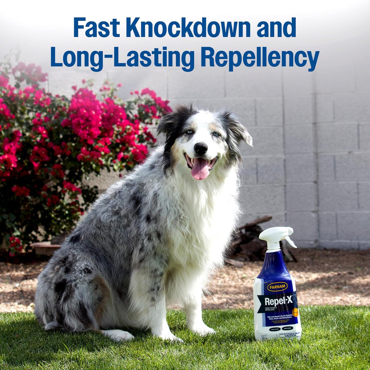 Farnam insecticide spray bottle resting on stable wood surface