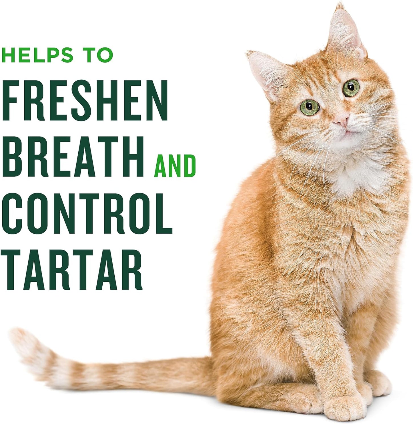 Minties salmon flavored tartar control treats for cats premium pet oral hygiene