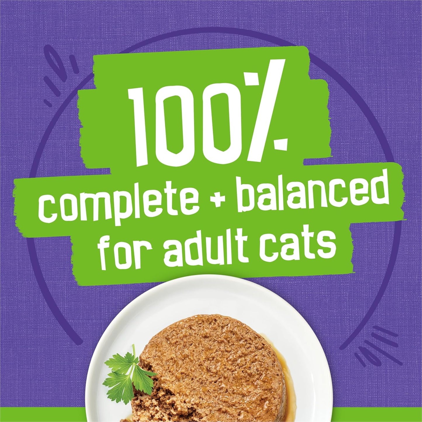 Purina Friskies Chicken Pate Wet Cat Food Can Isolated