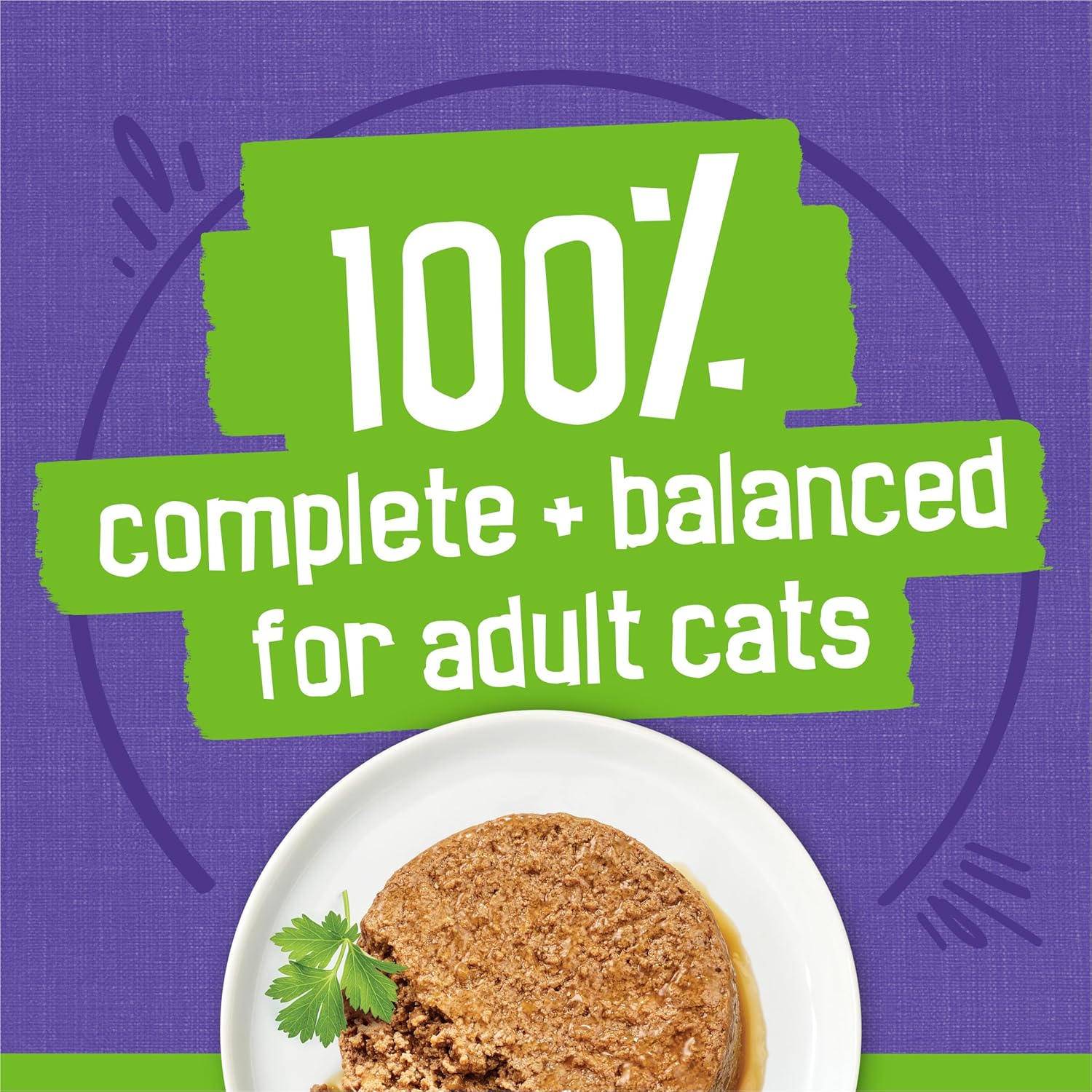 Purina Friskies Chicken Pate Wet Cat Food Can Isolated