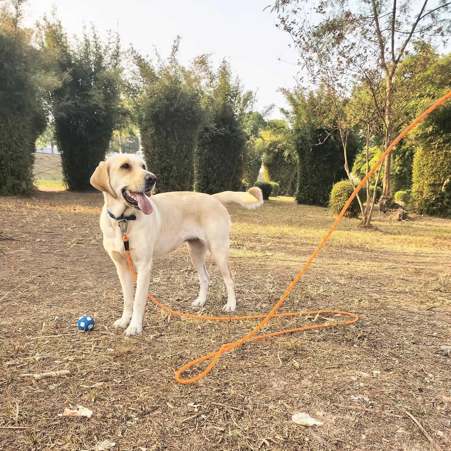 ZALER climbing rope dog leash for large dogs laid out on ground