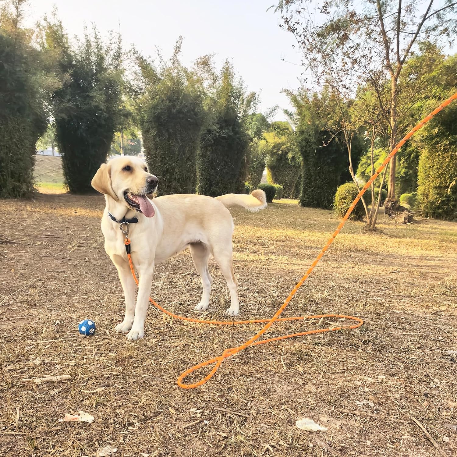 ZALER climbing rope dog leash for large dogs laid out on ground