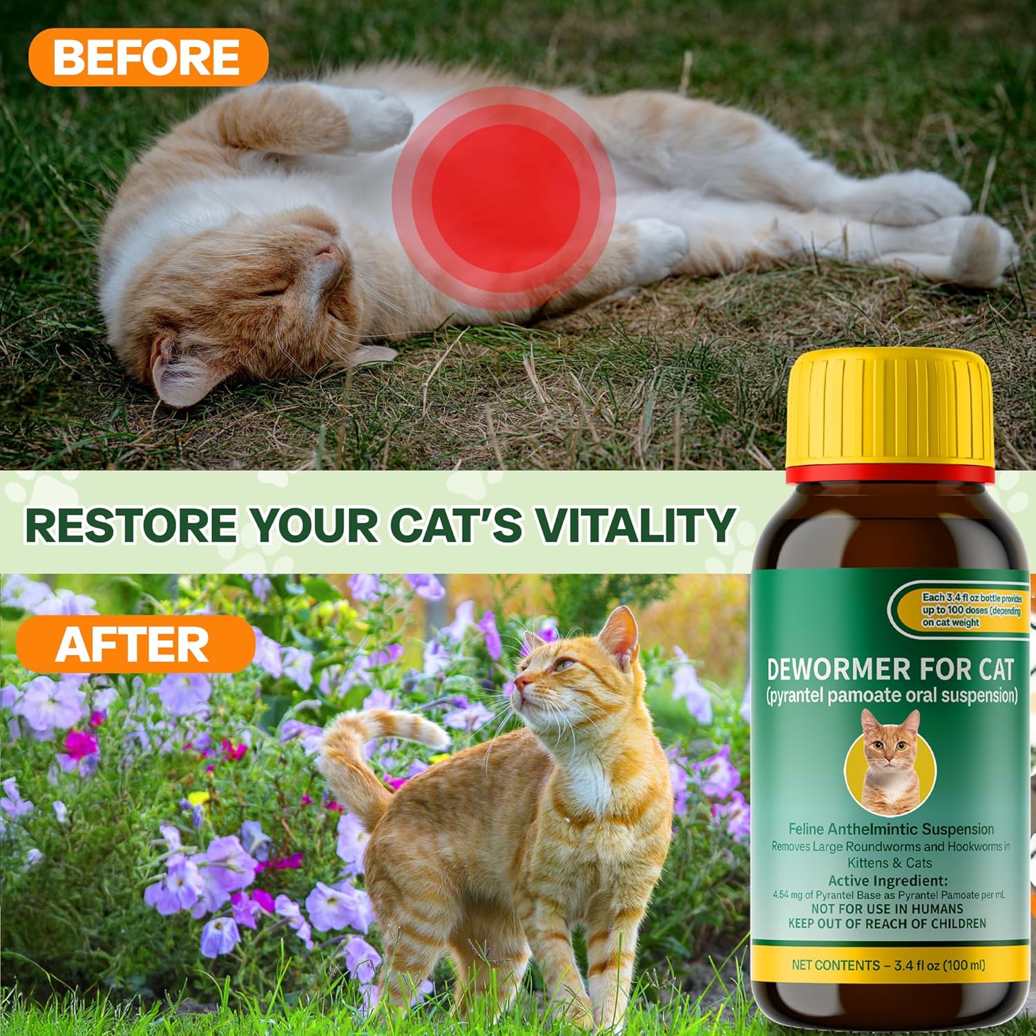 NateNatenight feline roundworm and hookworm treatment liquid bottle with inclusion syringe.