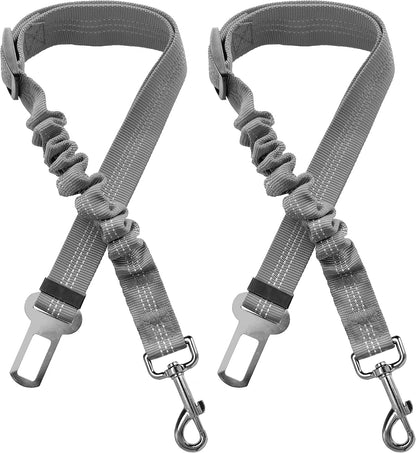 Close up of rotating metal clasp for pet harness