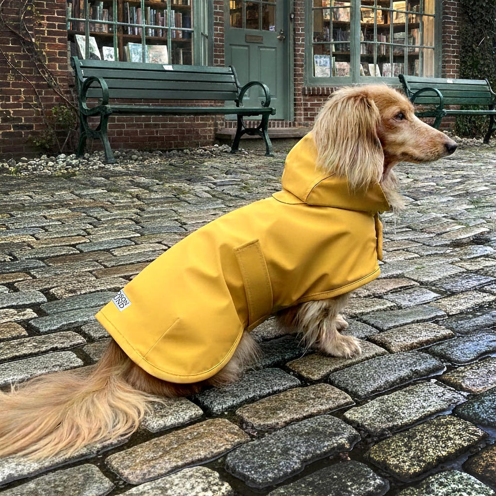Hudson Hound premium imported pet apparel displaying the flexible EasyFit elastic hind leg bands.