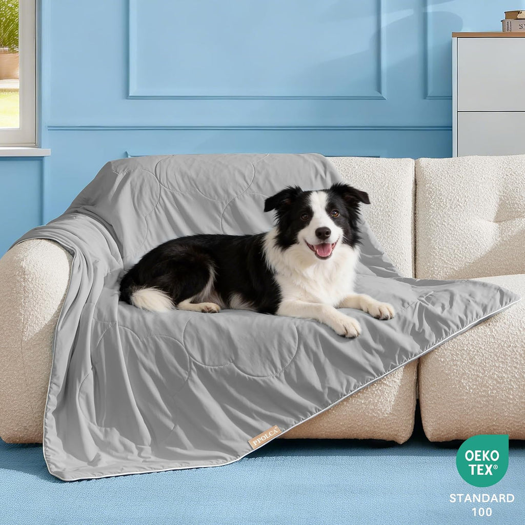 Large breed dog resting comfortably on the grey PPOLCA summer blanket.