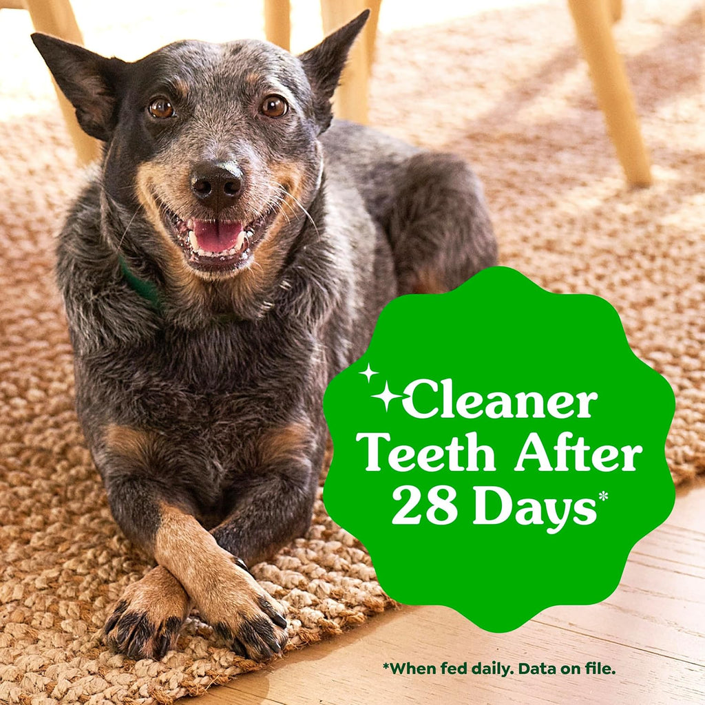 USA sourced Greenies teenie size dog dental treats for fresh breath