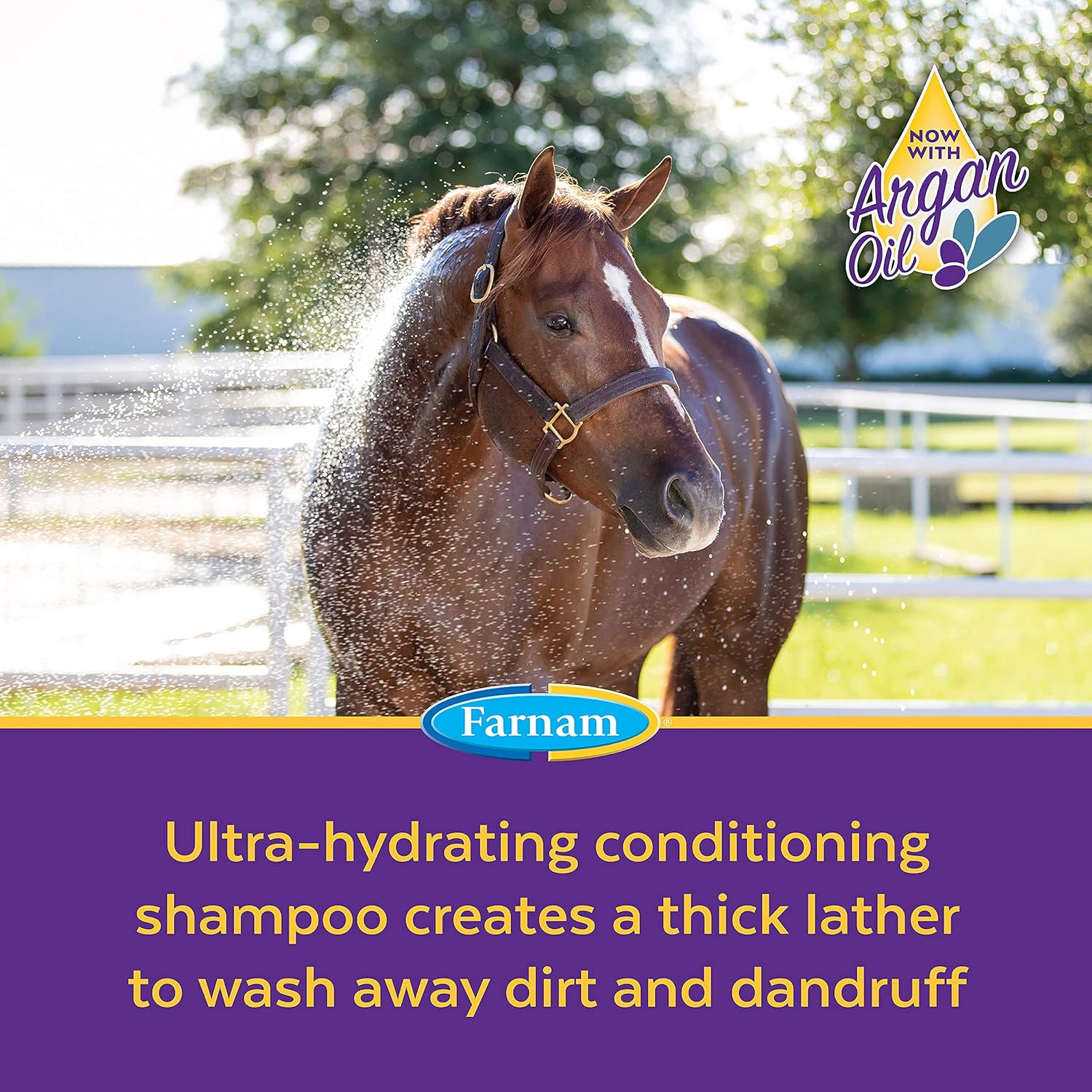 Texture of Farnam Vetrolin Bath conditioning shampoo