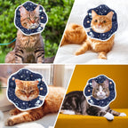 Premium imported Maiiu medical pet protective neck collar for post surgery wound protection