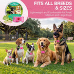 Bytecloud Ltd flea and tick tag set with replacement refills