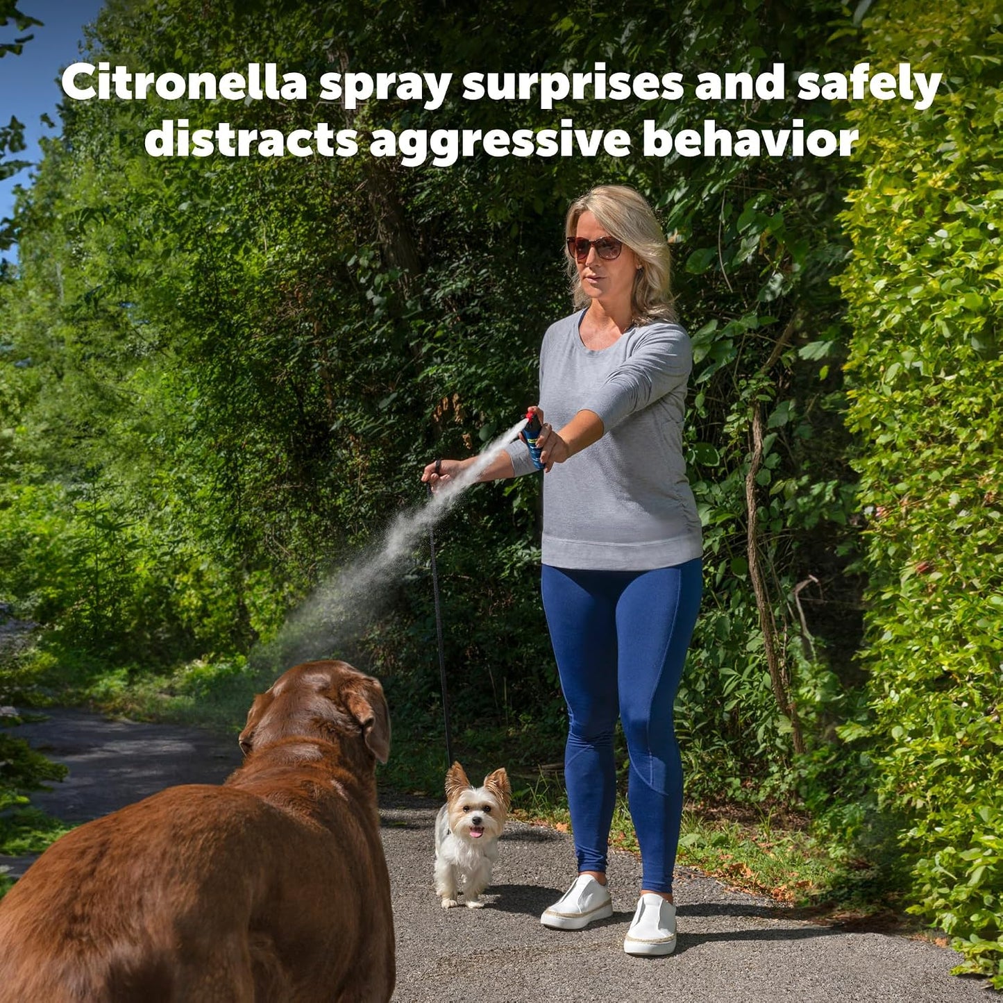 Person using PetSafe SprayShield belt clip during a dog walk