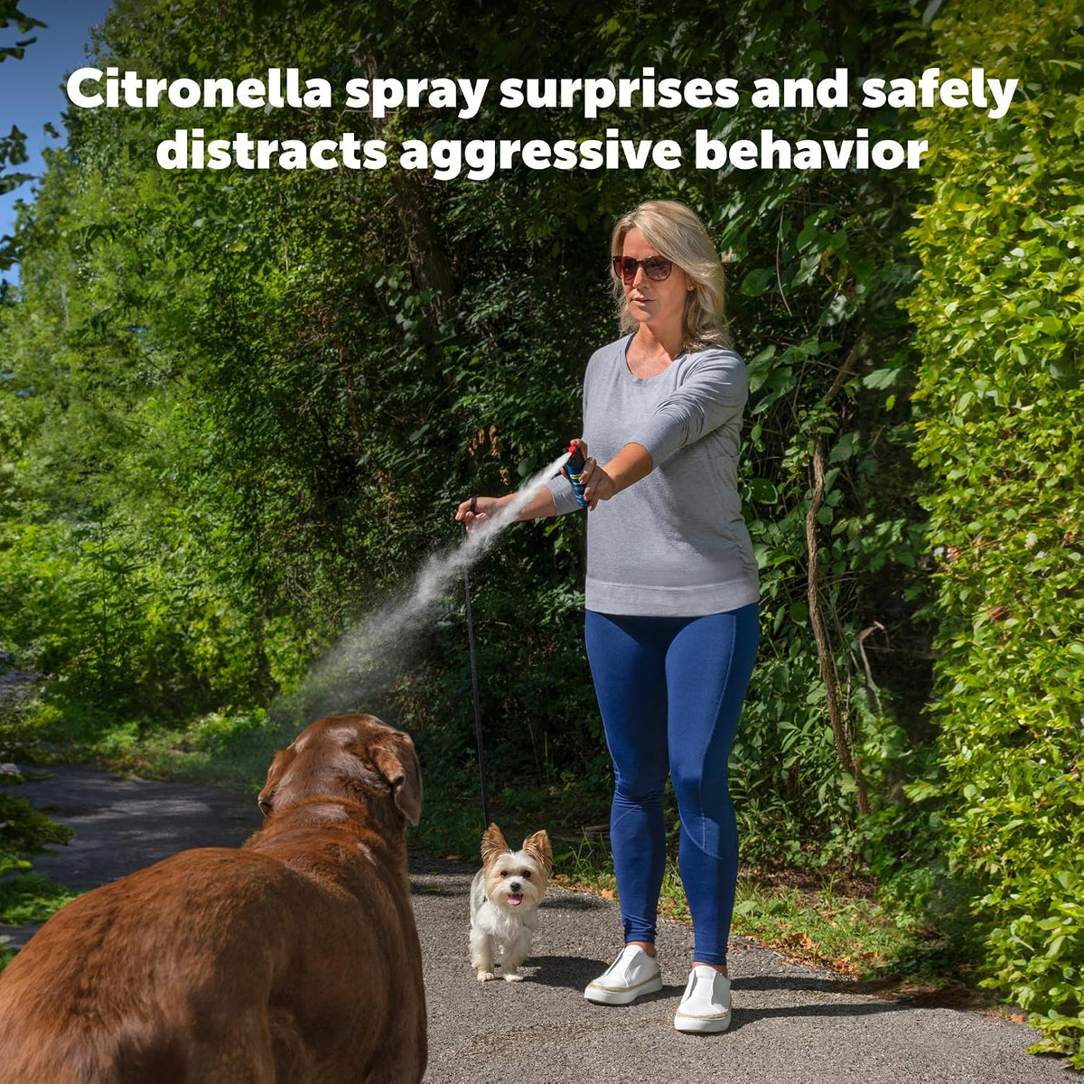 Person using PetSafe SprayShield belt clip during a dog walk