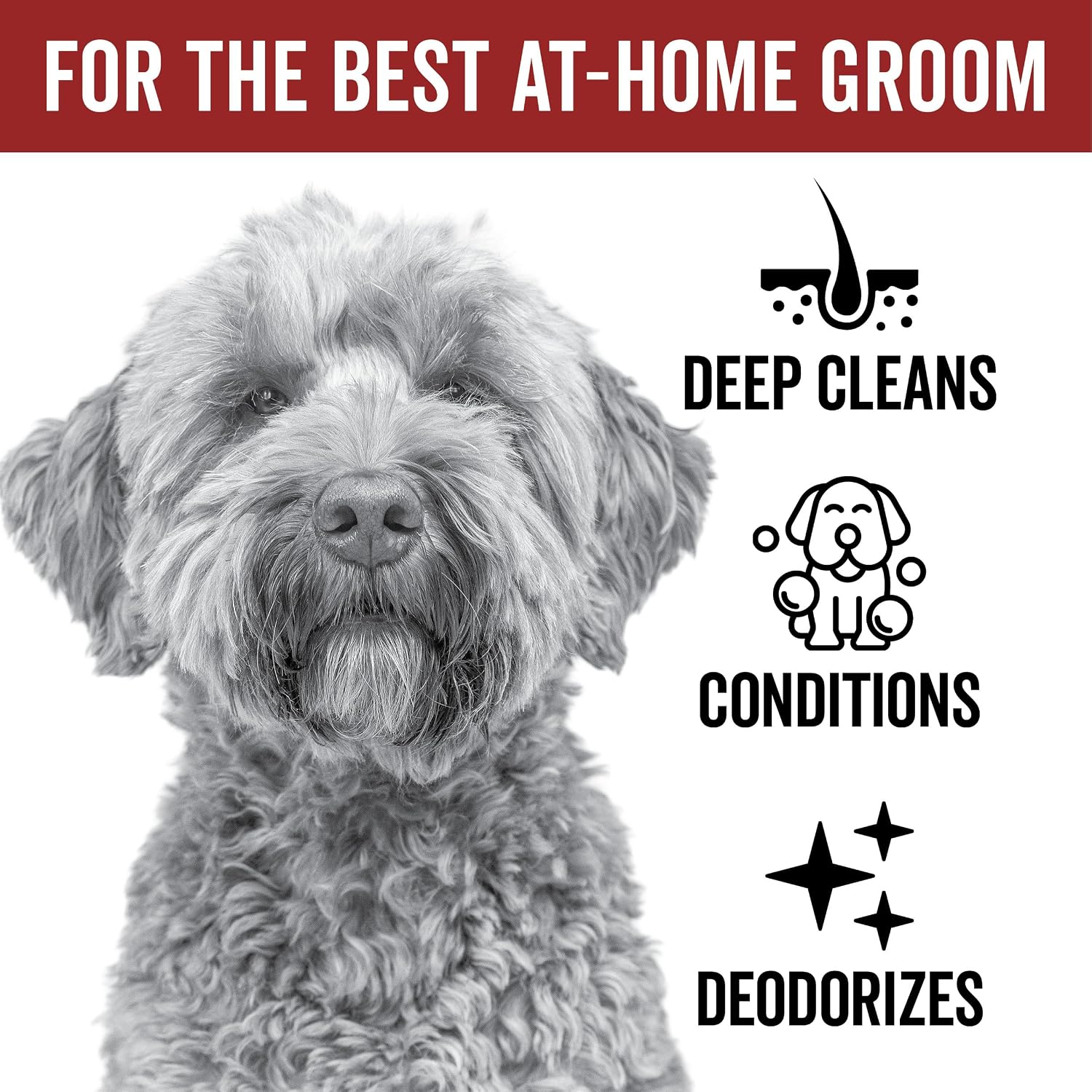 Pride And Groom dog shampoo for non shedding dogs packaging details