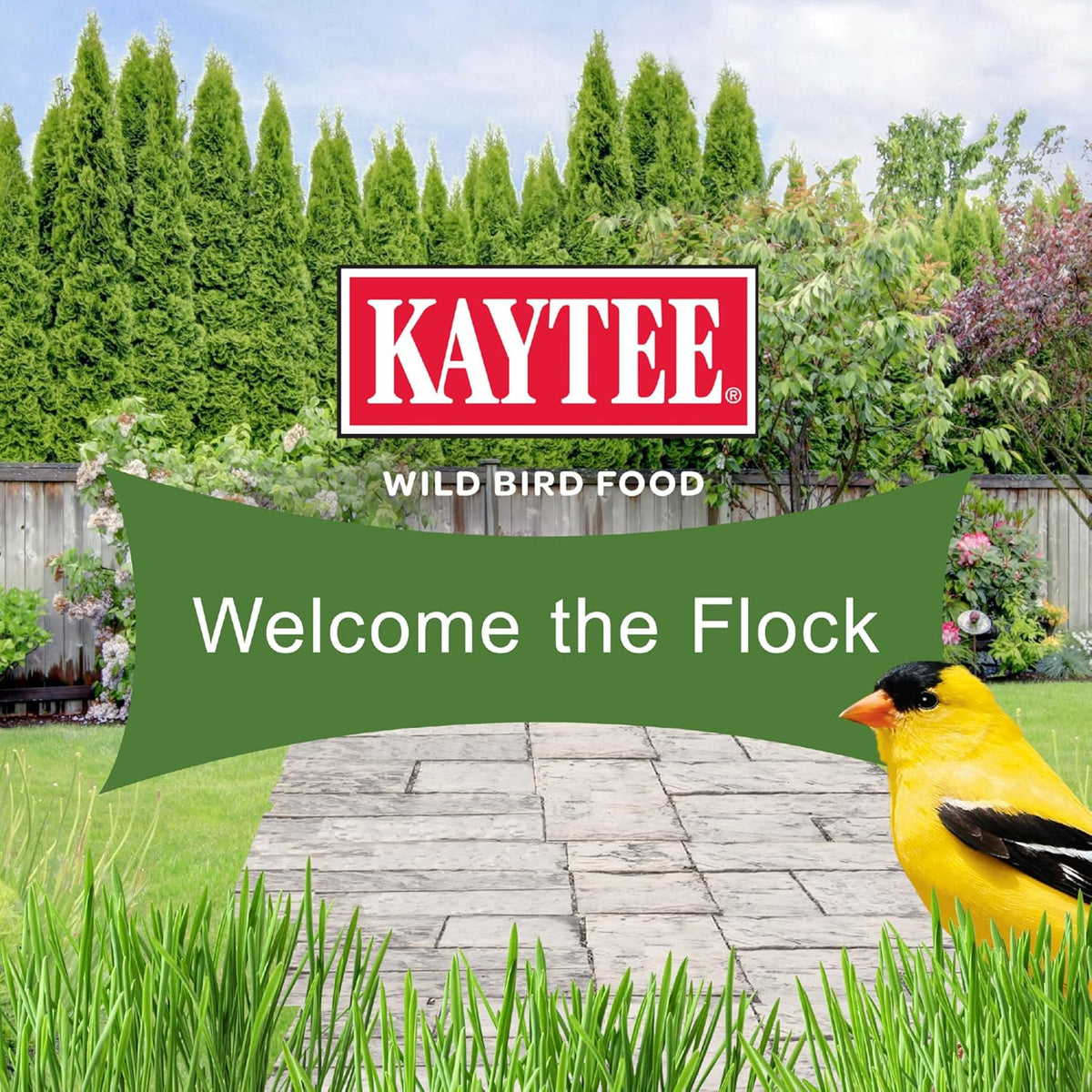 Kaytee 9.75 pound wild bird food bag held by a person