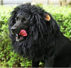 Onmygogo pet lion mane headwear side view showing attached ears