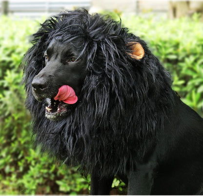 Onmygogo pet lion mane headwear side view showing attached ears