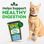 Greenies 16 ounce tub showing dual texture cat snacks