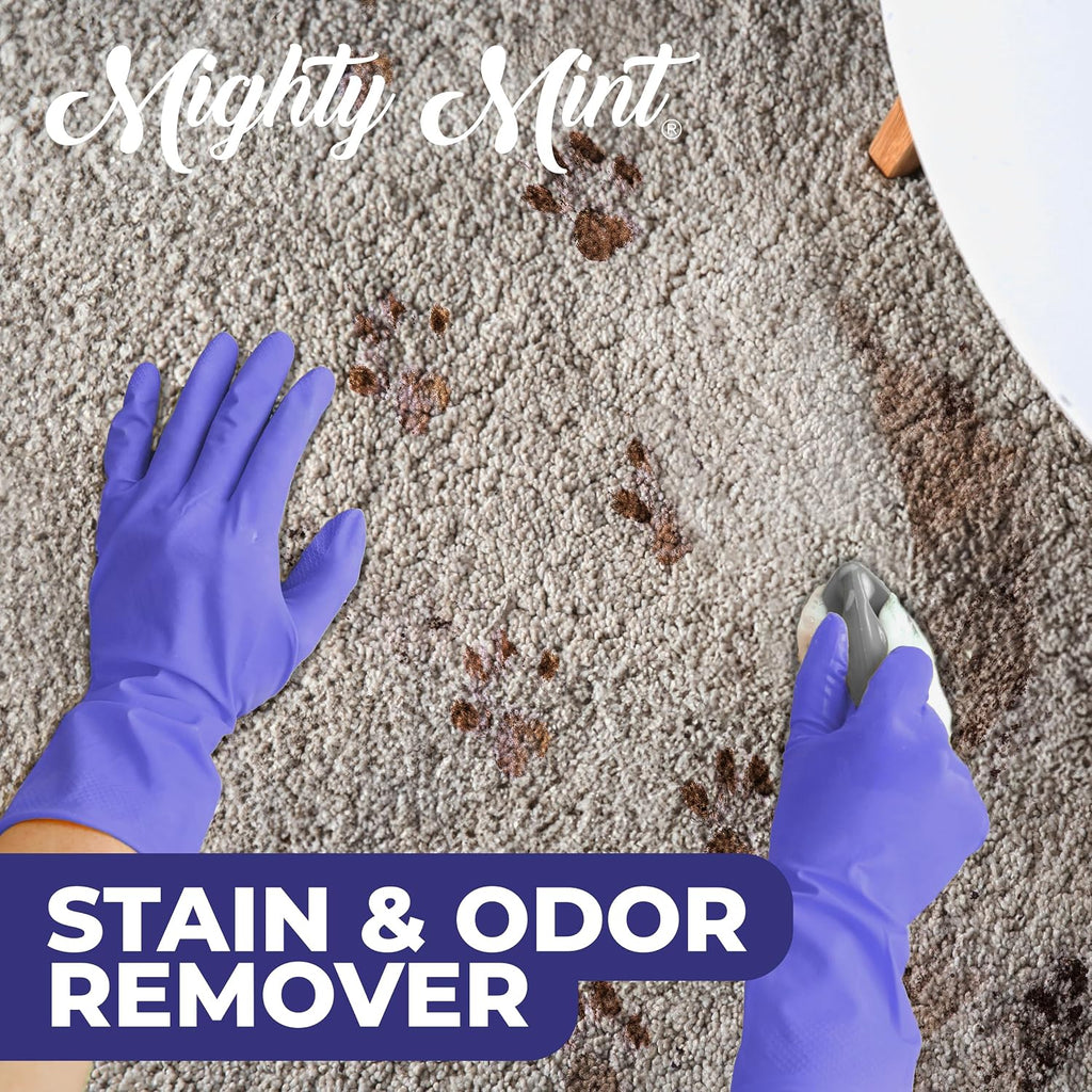 Mighty Mint spray bottle for pet mess cleanup
