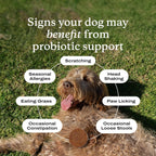 PetLab Co. small dog probiotic supplement tub showing thirty soft chews product information