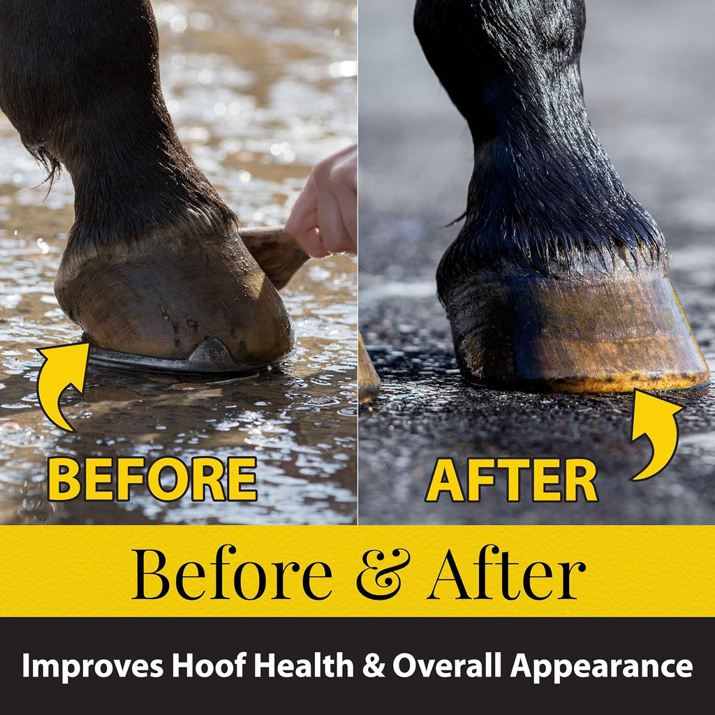 Imported USA horse hoof conditioner bottle showing mineral oil ingredient text
