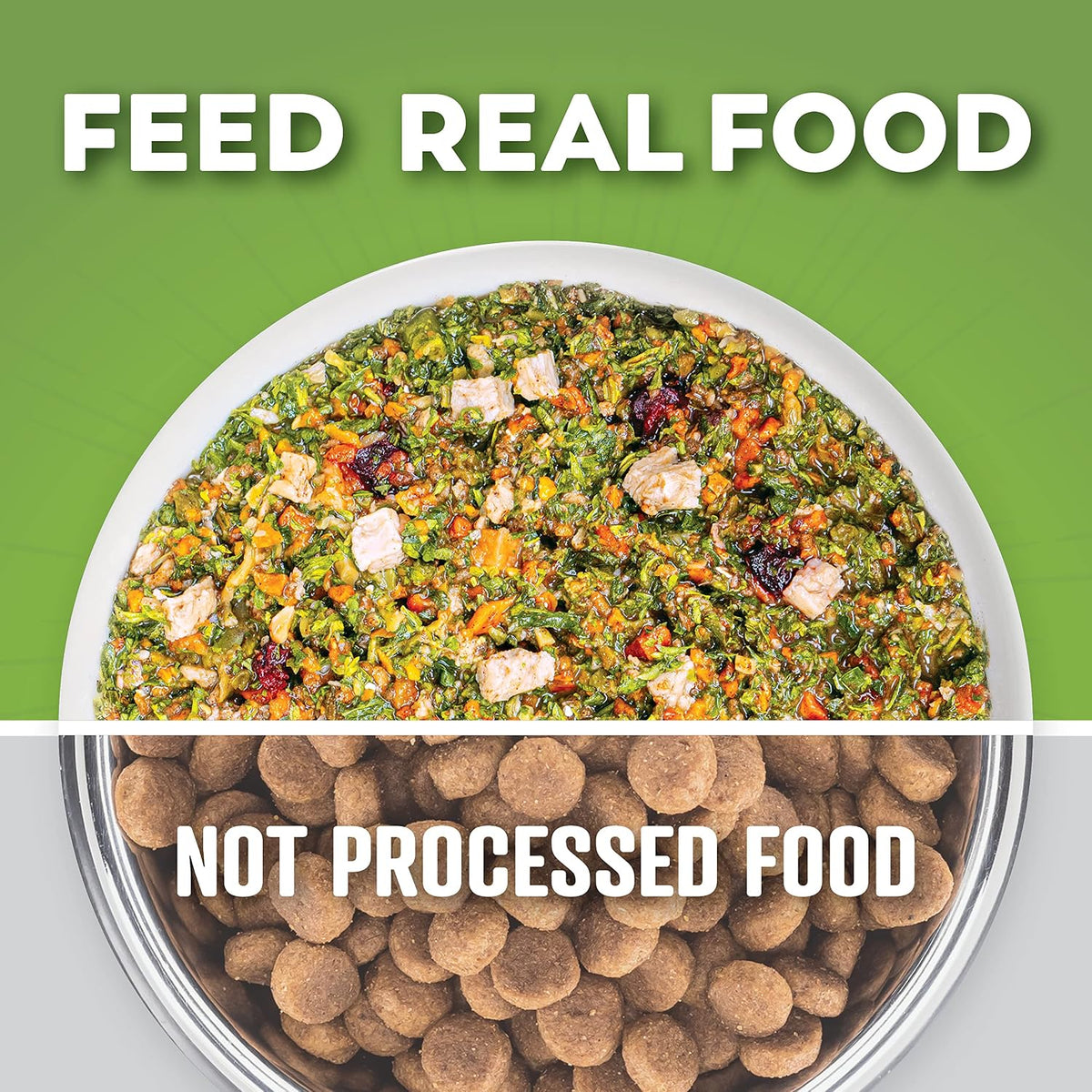 Dr. Harvey's dog food prepared in a bowl showing texture