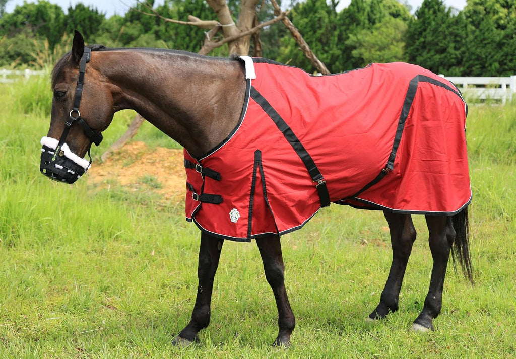 T TEKE breathable stable cover showing roomy shoulder gussets to prevent rubbing.