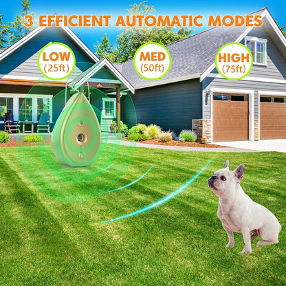 Modus anti barking box with accessories