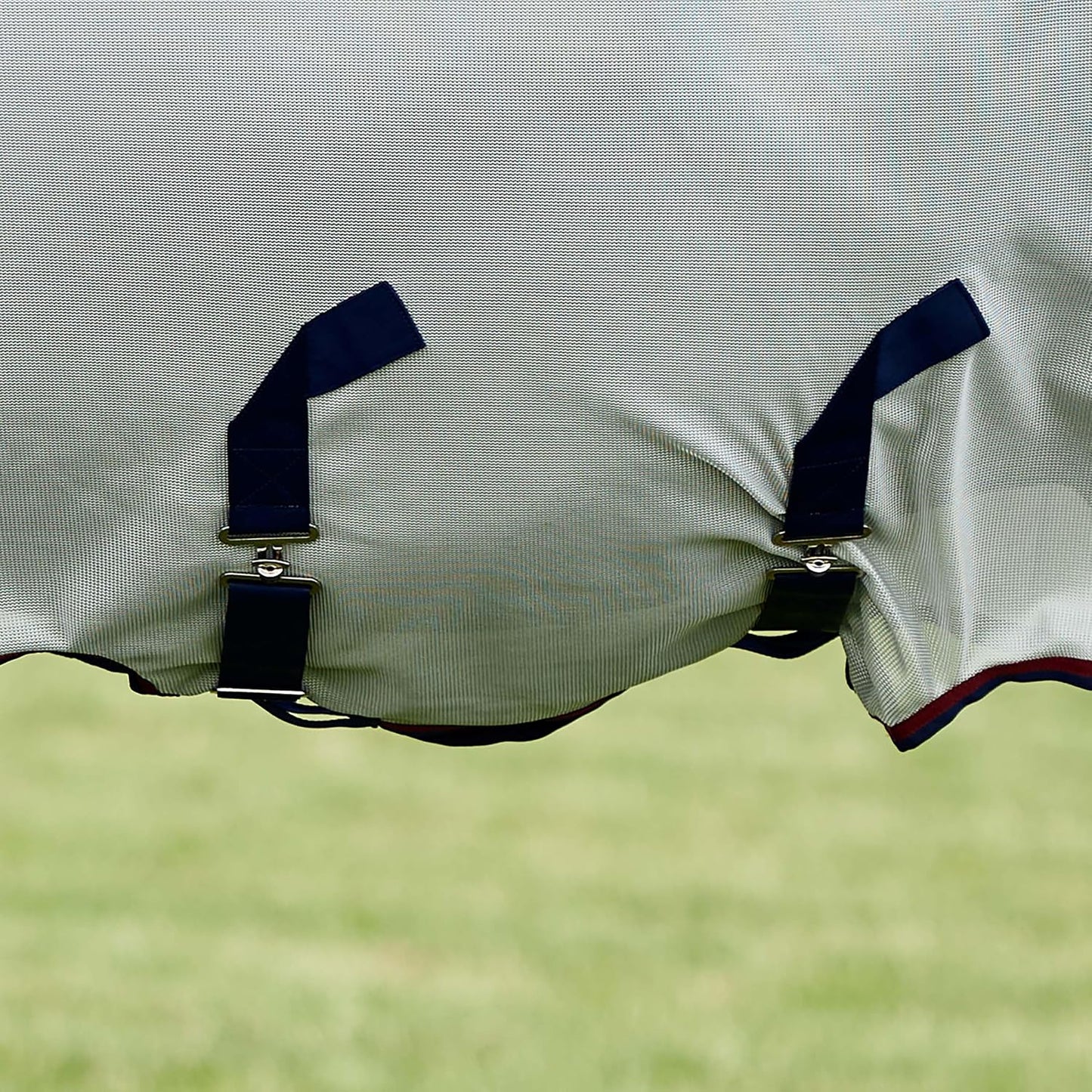 WeatherBeeta authentic imported equestrian fly sheet full coverage back view