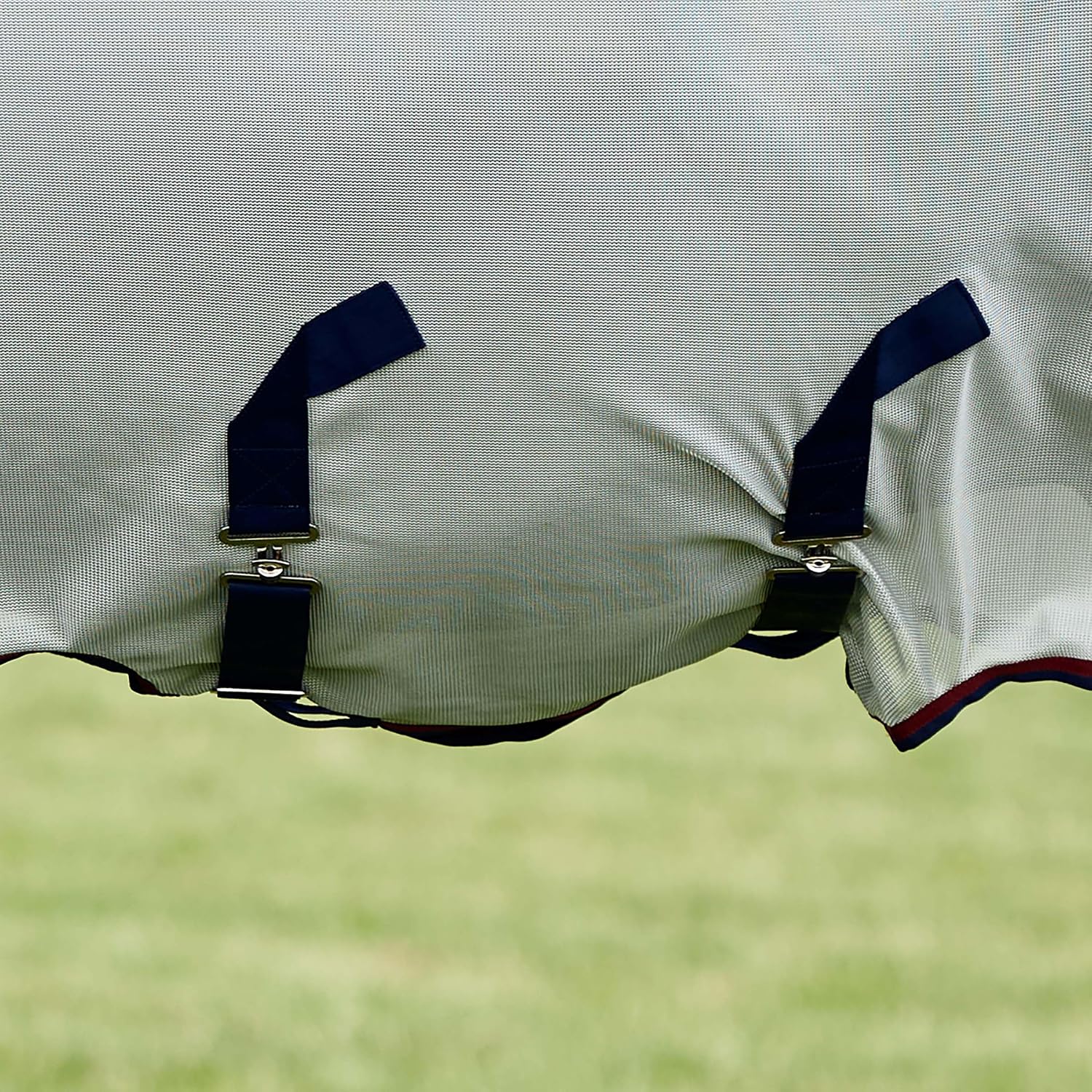 WeatherBeeta authentic imported equestrian fly sheet full coverage back view