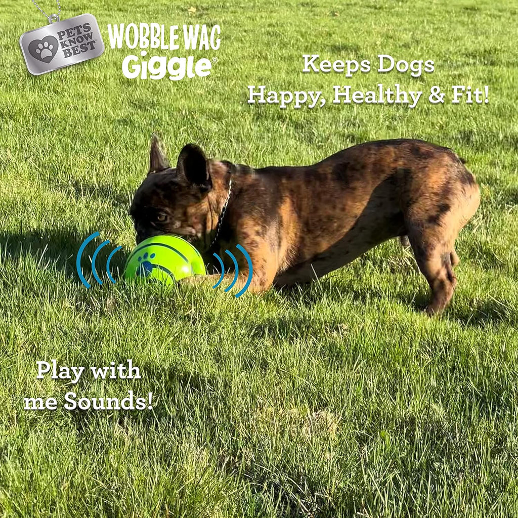 Durable vinyl interactive dog ball toy close up