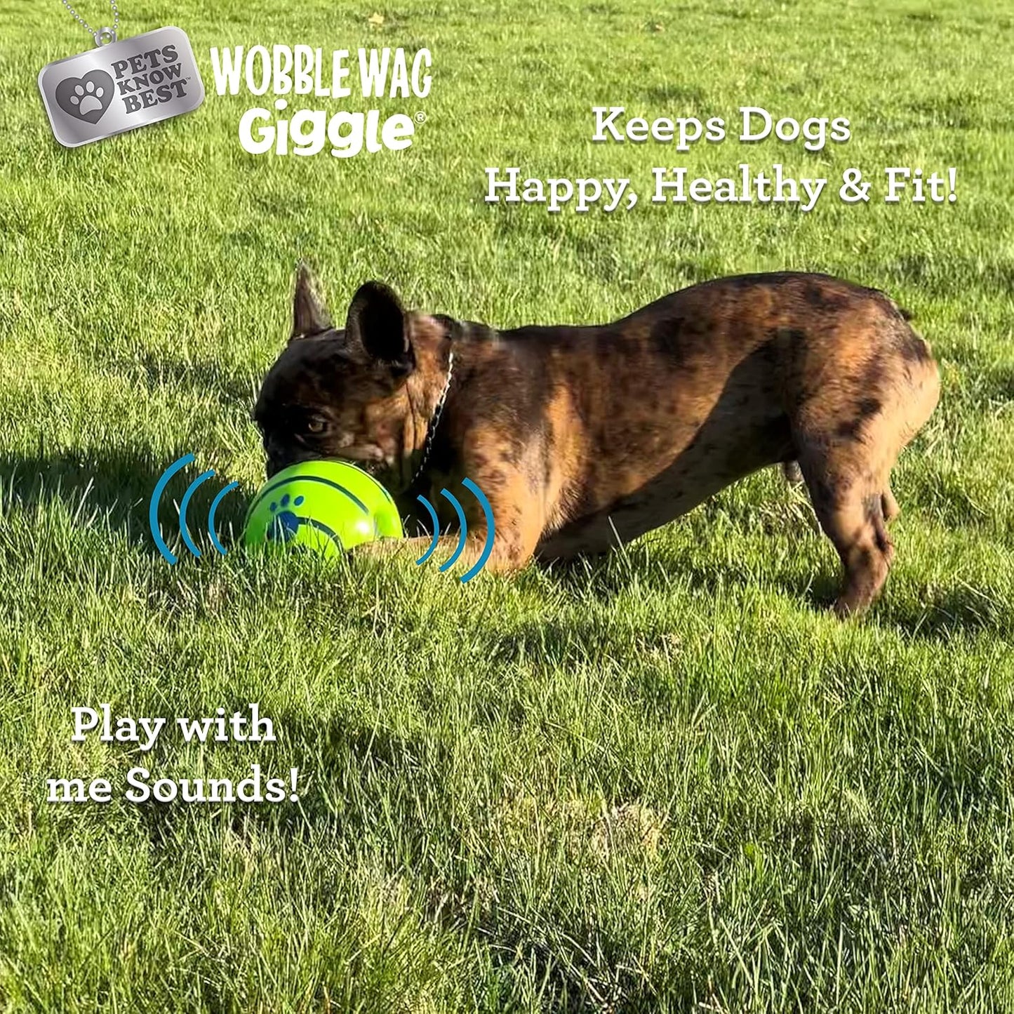 Durable vinyl interactive dog ball toy close up