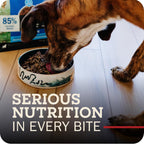 Redbarn air dried high protein grain free dog food bag close up