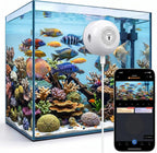 Noonkey 3MP 2K Pet Camera for Aquarium, Reptile & Bird Feeder, No Drill Window Security Camera, 5GHz/2.4GHz WiFi, Color Night Vision, 24/7 Recording, Human Detection & Alarm, 2-Way Audio, Work w/Alexa - Image 9