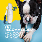 Radius eco-friendly BPA-free pet dental tool
