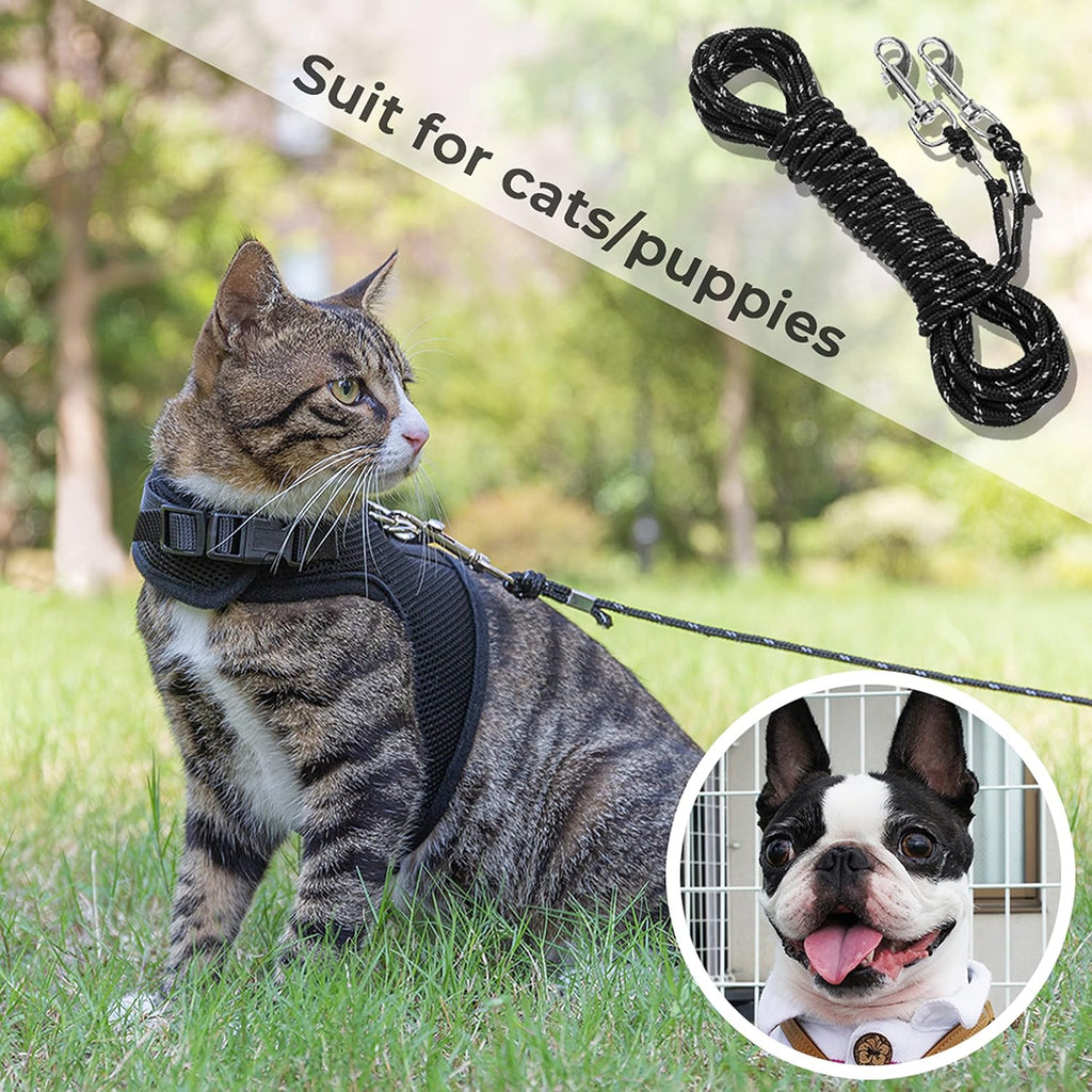 Small animal wearing a harness connected to the CHERpet reflective training lead.