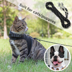 Small animal wearing a harness connected to the CHERpet reflective training lead.