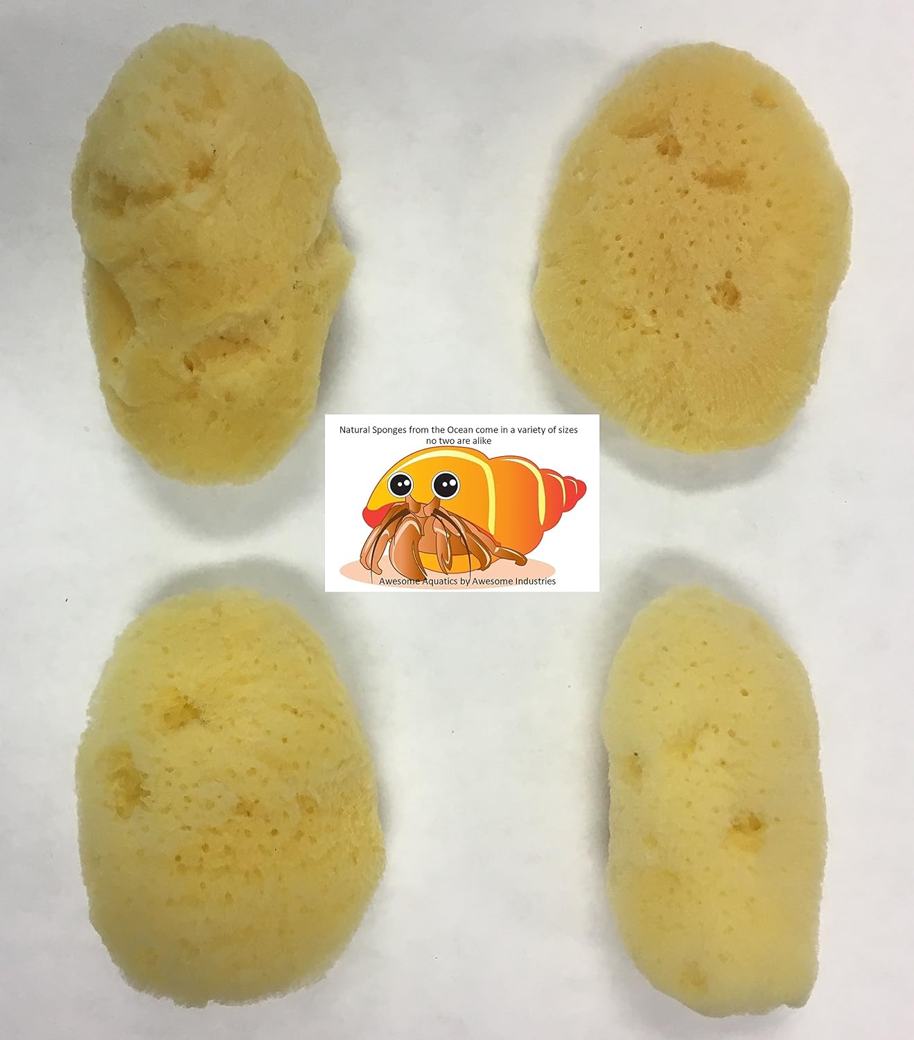 Four pack of Awesome Aquatic natural sea sponges for pets