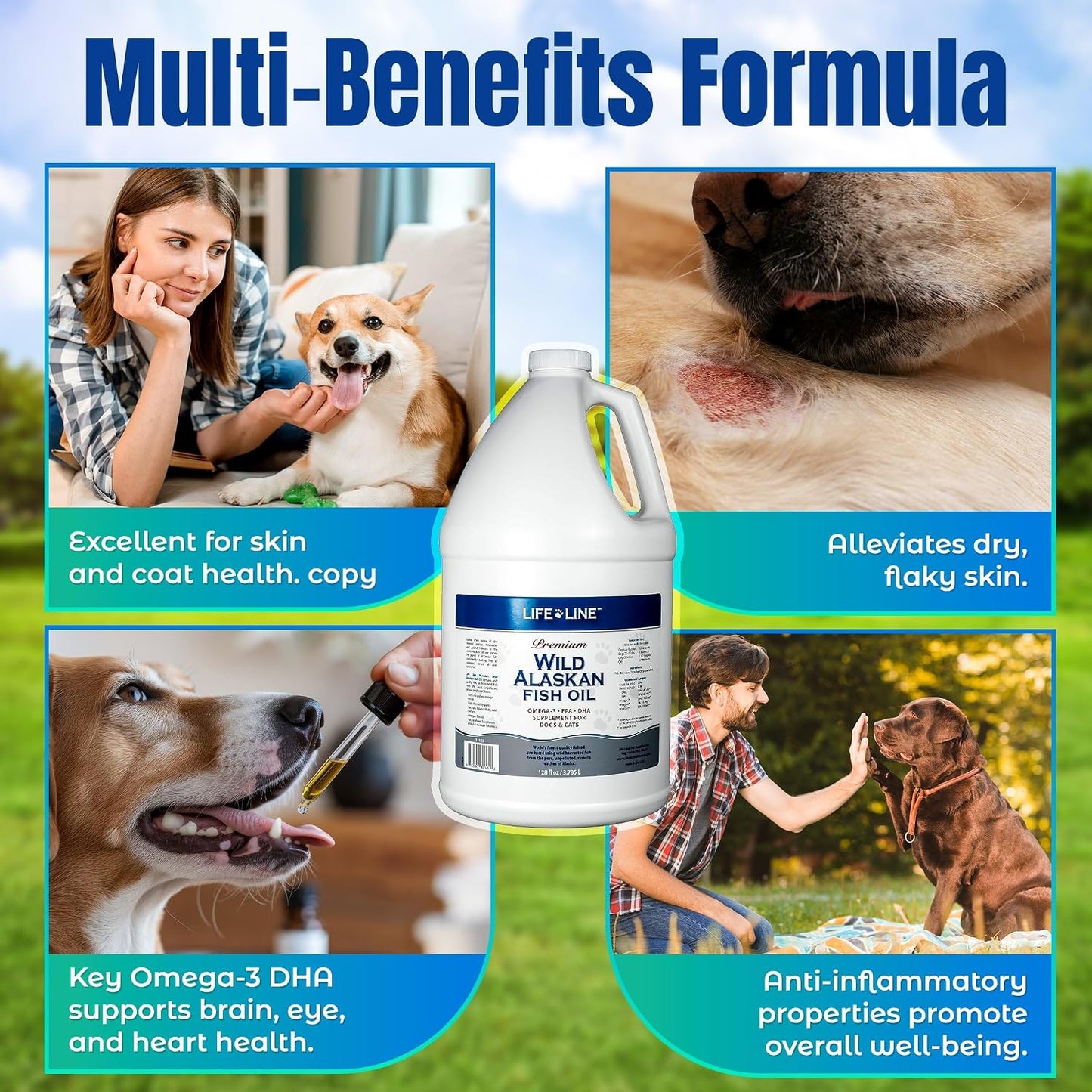 Wild caught Alaskan fish oil for pet skin and coat health