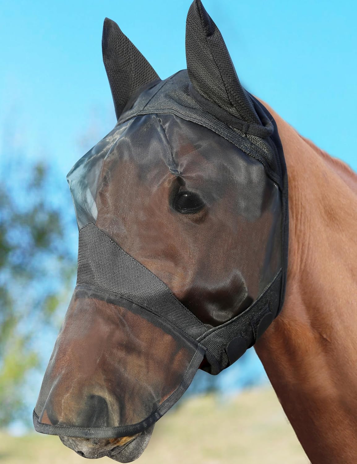 HackFond horse fly mask with long nose and ears front view for full face protection