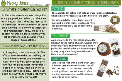 Back label and ingredients of Meowy Janes all natural silvervine powder